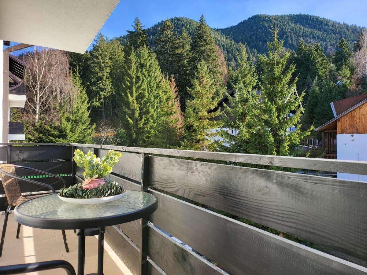 Dinvis Apartments Poiana Brasov Eksteriør bilde